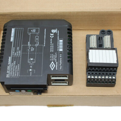 DELTAV VE4002S1T1B2 Traditional I/O