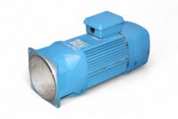 ABUS 100/150 8/2 ELECTRIC MOTOR 303334