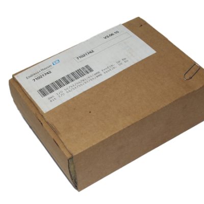 Endress+Hauser 319762-0200 B INPUT/OUTPUT MODULE PROFIBUS Version 3.06.10 71021742