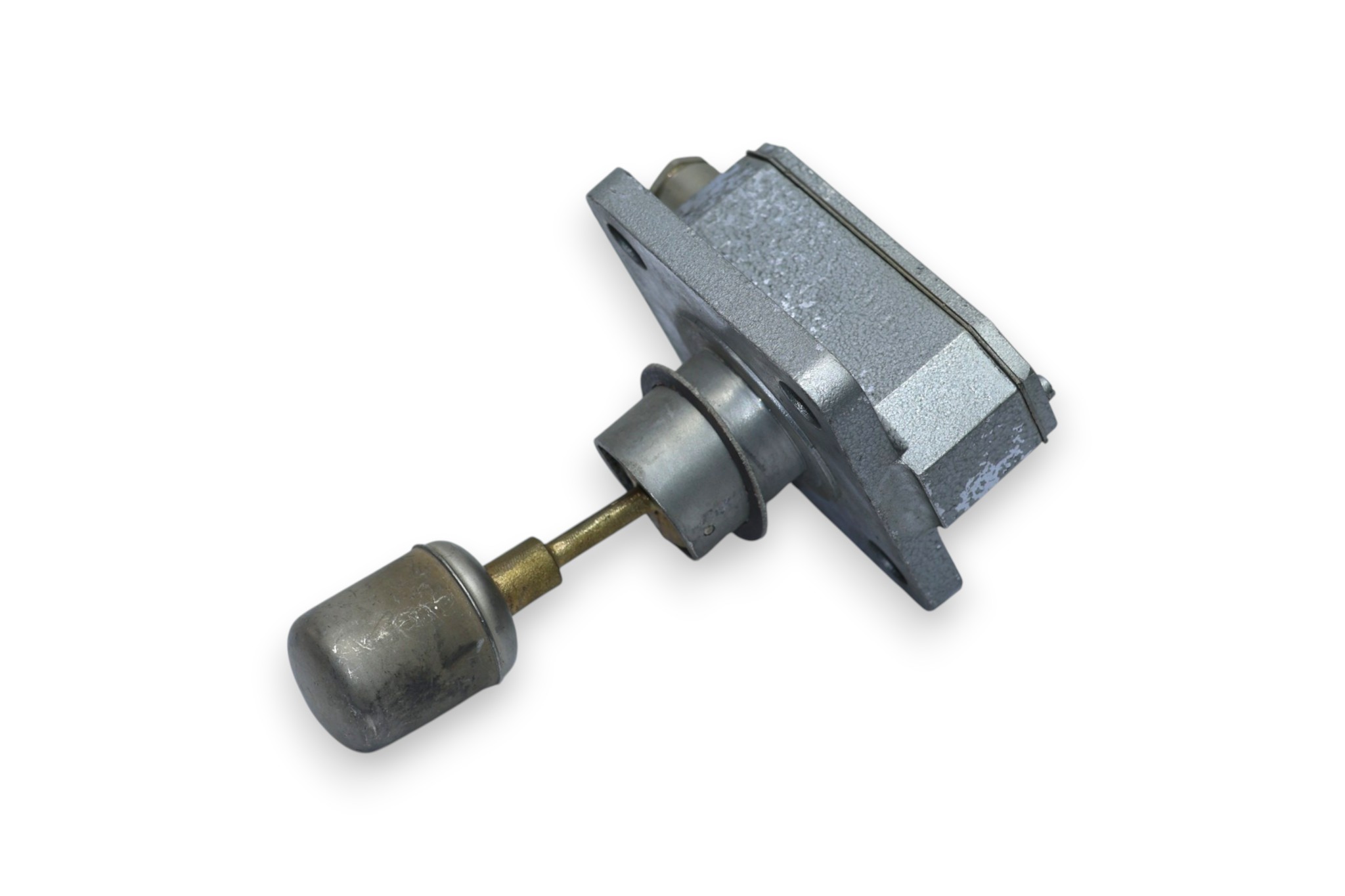 IGEMA Ni1 LEVEL SWITCH